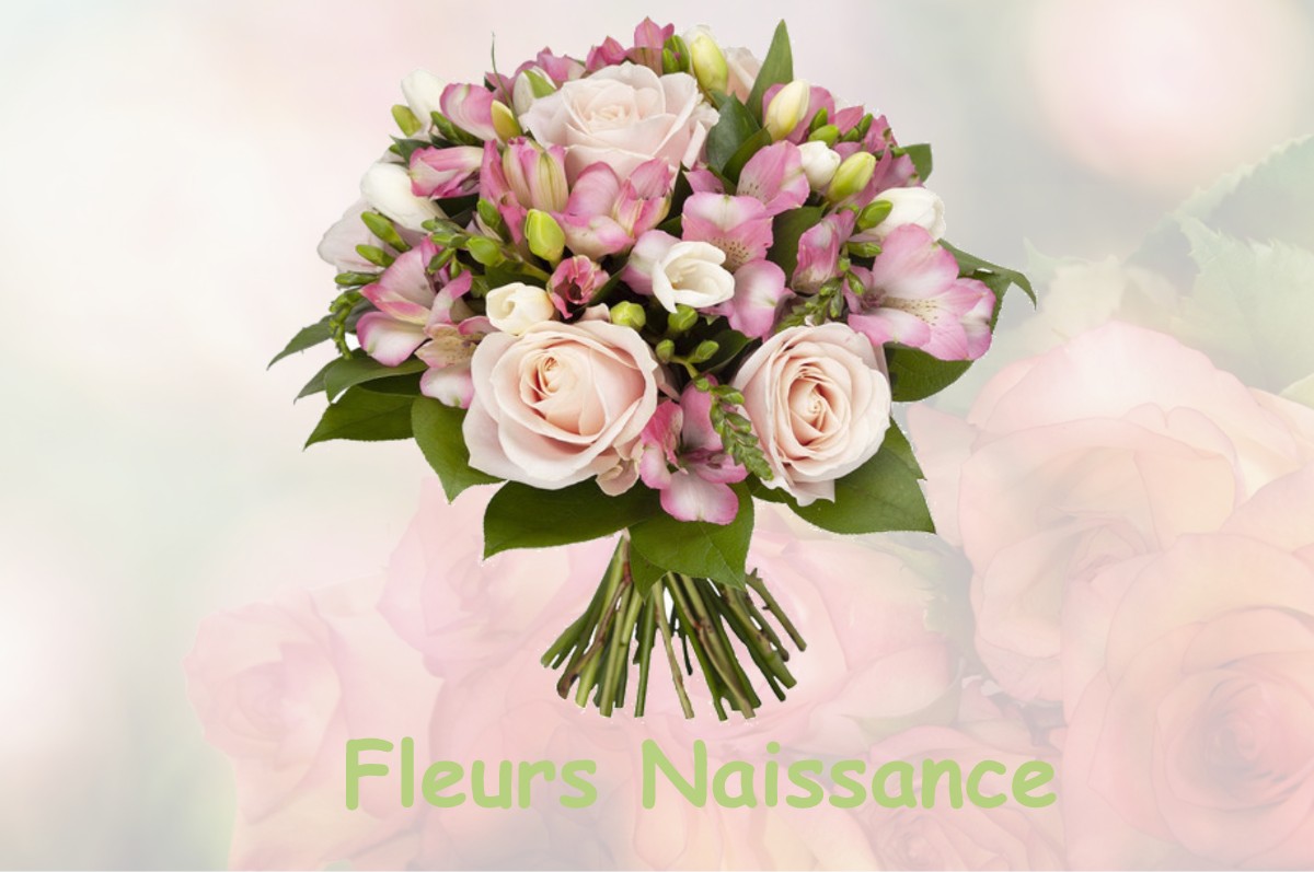 fleurs naissance PELISSANNE