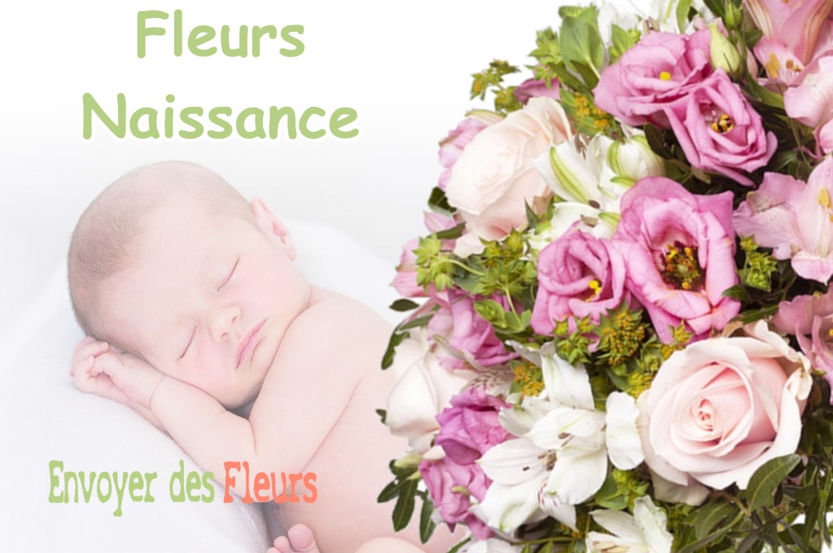 lIVRAISON FLEURS NAISSANCE à PELISSANNE